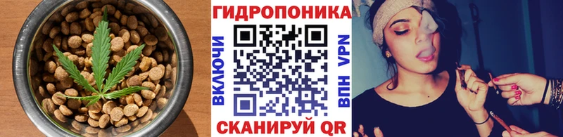 даркнет сайт Дорогобуж Печенье с ТГК конопля