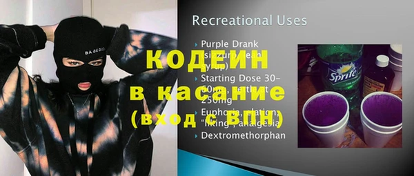 ГАЛЛЮЦИНОГЕННЫЕ ГРИБЫ Вяземский