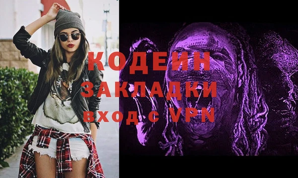 прущие грибы Вязьма
