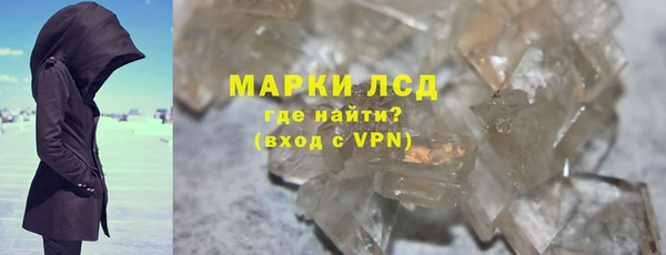 ГАЛЛЮЦИНОГЕННЫЕ ГРИБЫ Вяземский