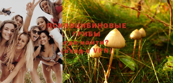 эйфоретик Вязники