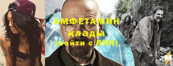 прущие грибы Вязьма