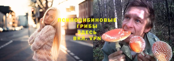 дживик Володарск