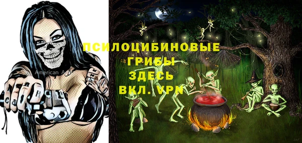 дживик Володарск