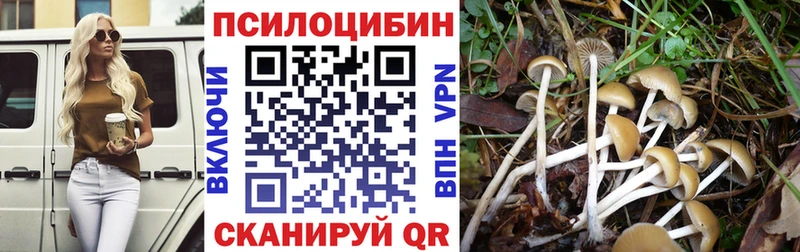 blacksprut ONION  Дорогобуж  Псилоцибиновые грибы MAGIC MUSHROOMS 
